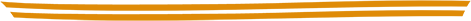 Two thick orange horizontal lines separating the title from the body text.